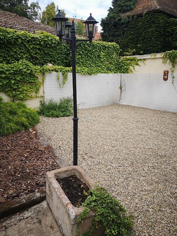 Appart 4 Pers Design Et Cosy Avec Jardin Au Coeur De Selestat Exterior photo